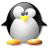 linux computer system repair